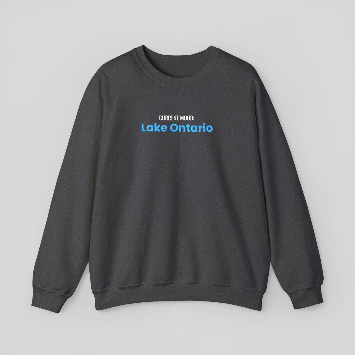 Lake Ontario text design Sweatshirt | minimalist blue type, Canadian lake