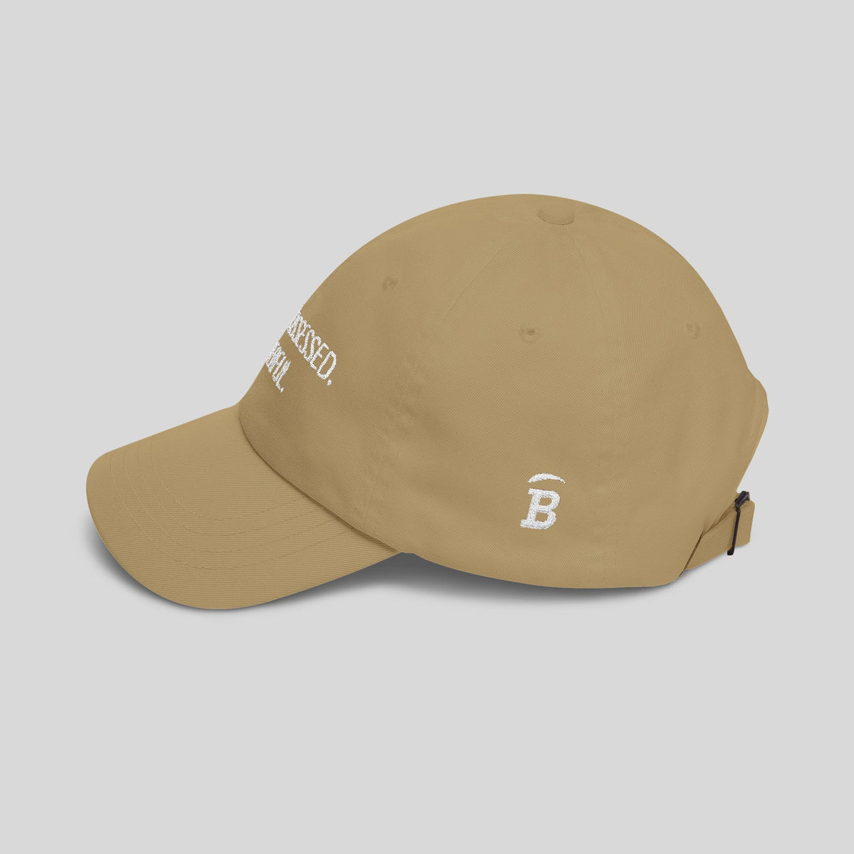 Classic Dad Cap